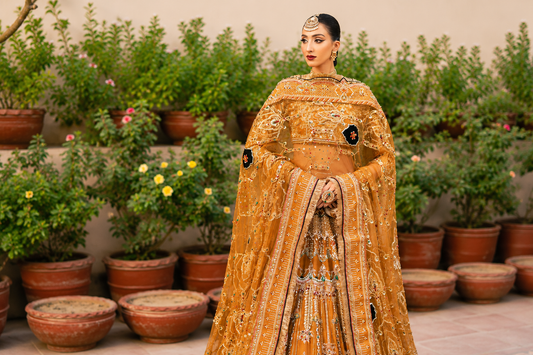 Zehba-e-Sunehri (Golden Elegance)