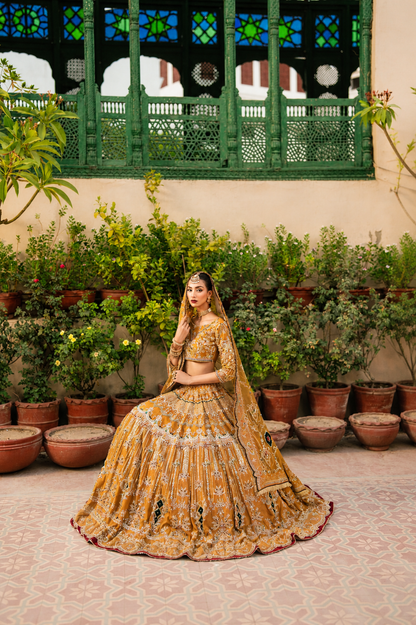 Zehba-e-Sunehri (Golden Elegance)