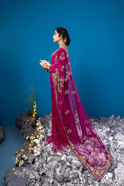 Zartaj saree