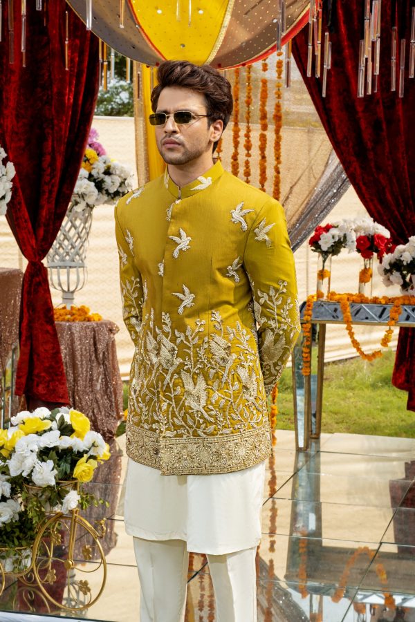 Mens Wear - Image 2