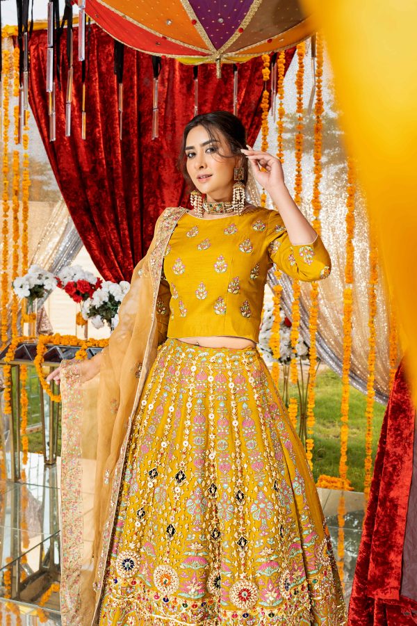 Radiant Elegance by Shoaib Ismail