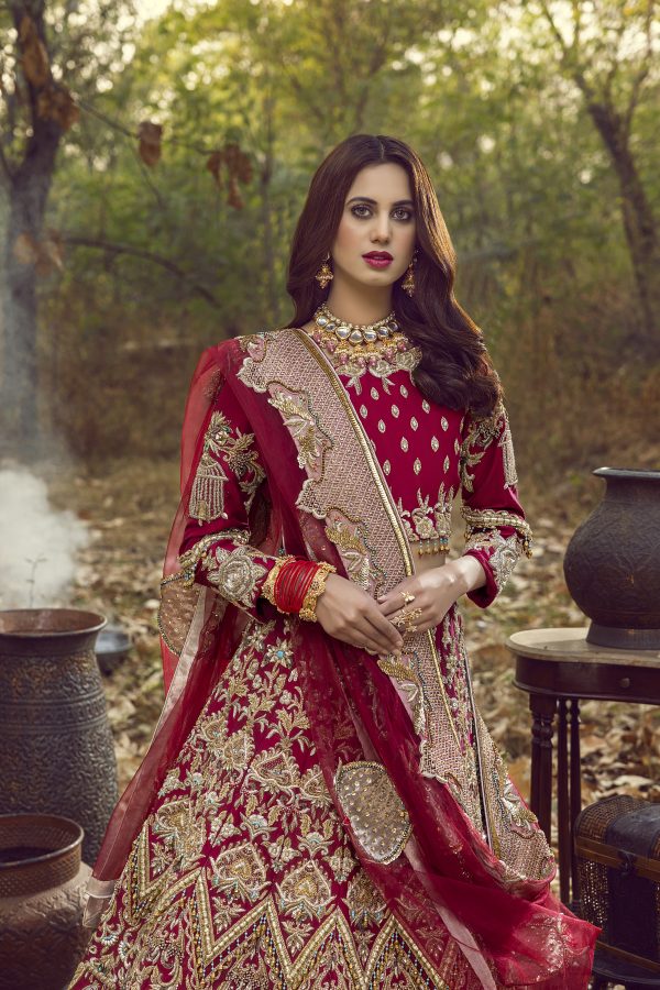 Majestic Scarlet - Image 5