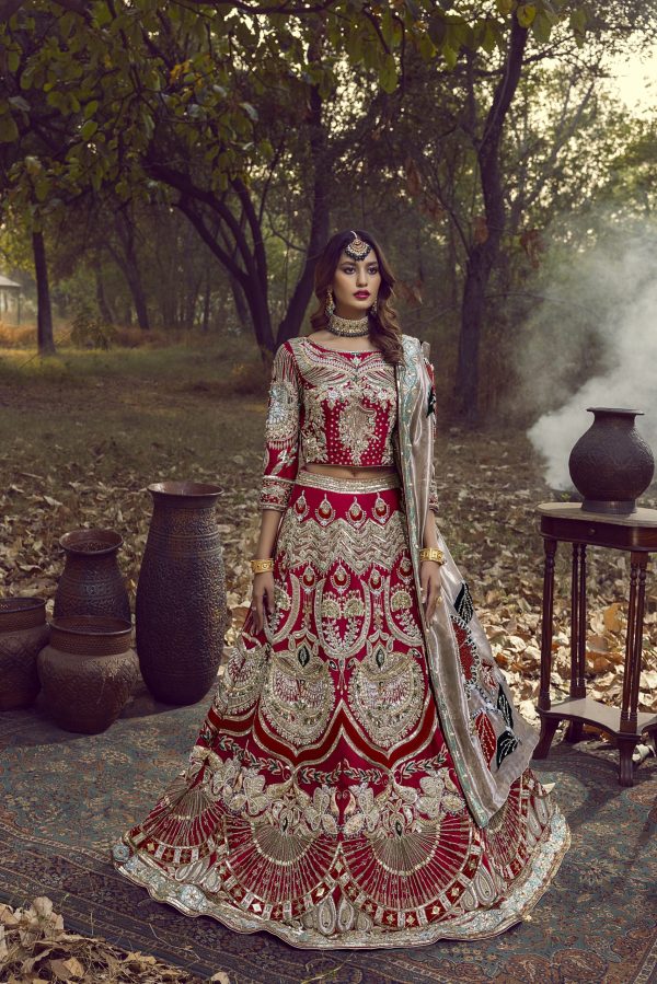 Regal Radiance - Image 3