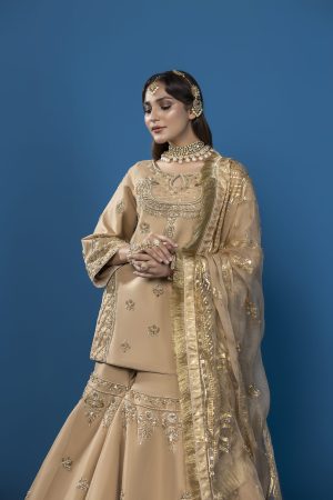 Golden Grace by Shoaib Ismail