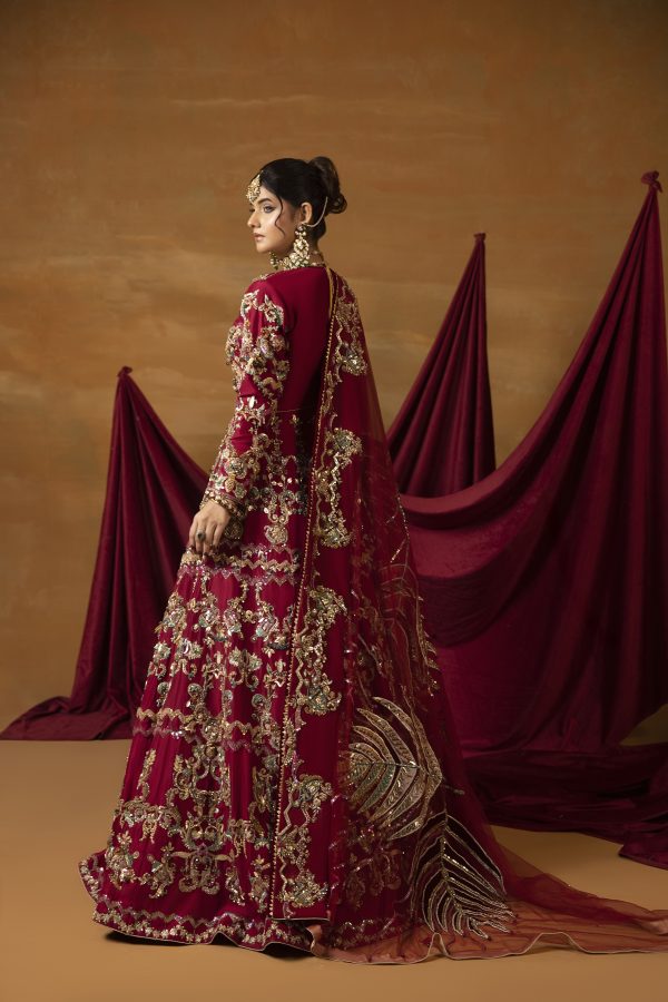 Shahana Sitara - Image 2