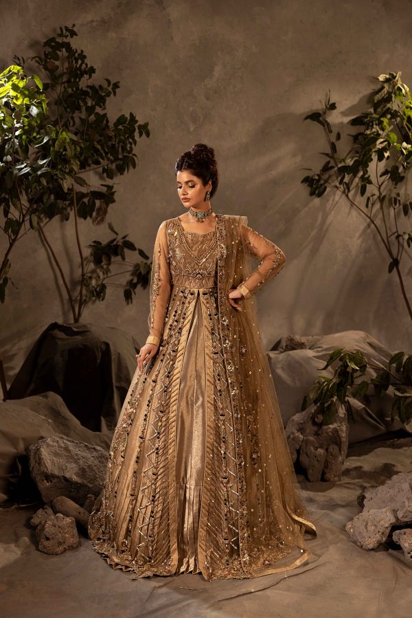 Meeras-e-Fakhr - Image 3