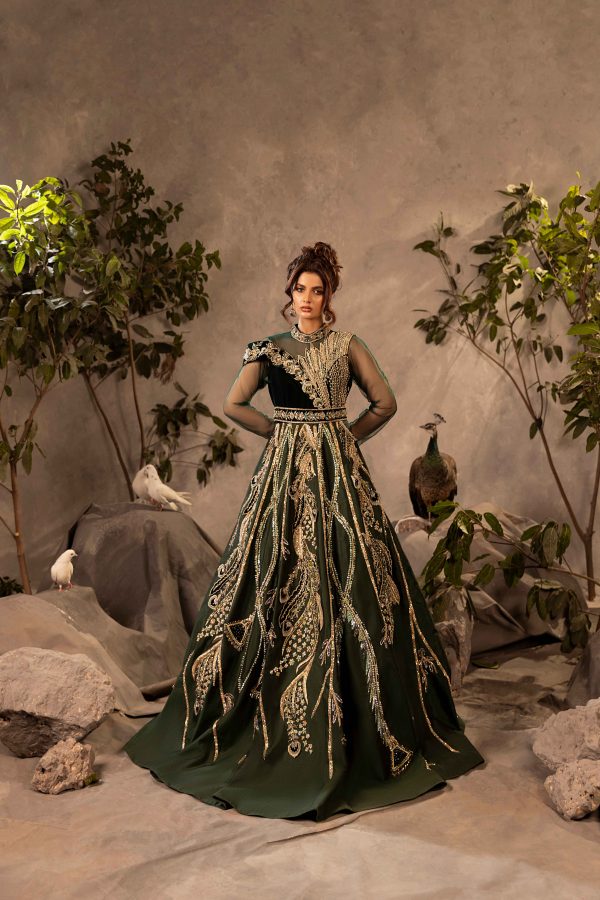 Shan-e-Sarfaraz - Image 4
